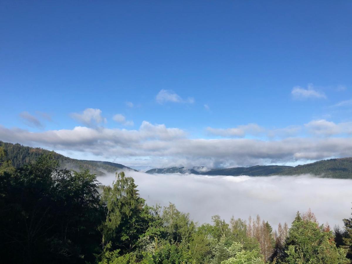 Le Gite Cozy De Bouvacote Avec Vue Panoramique Et Sauna Le Tholy Esterno foto