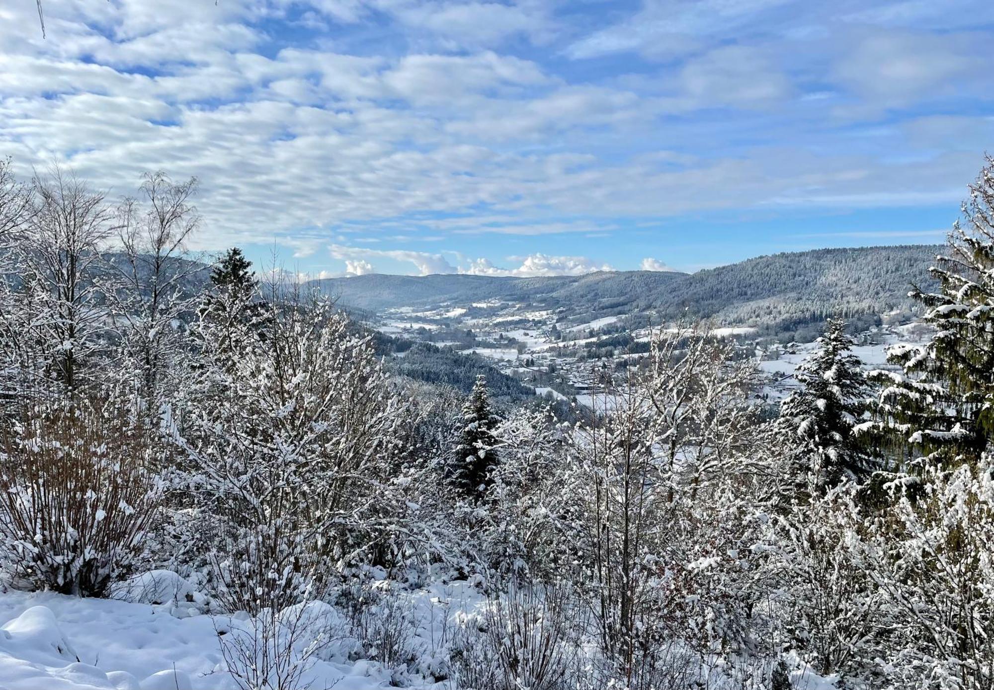 Le Gite Cozy De Bouvacote Avec Vue Panoramique Et Sauna Le Tholy Esterno foto