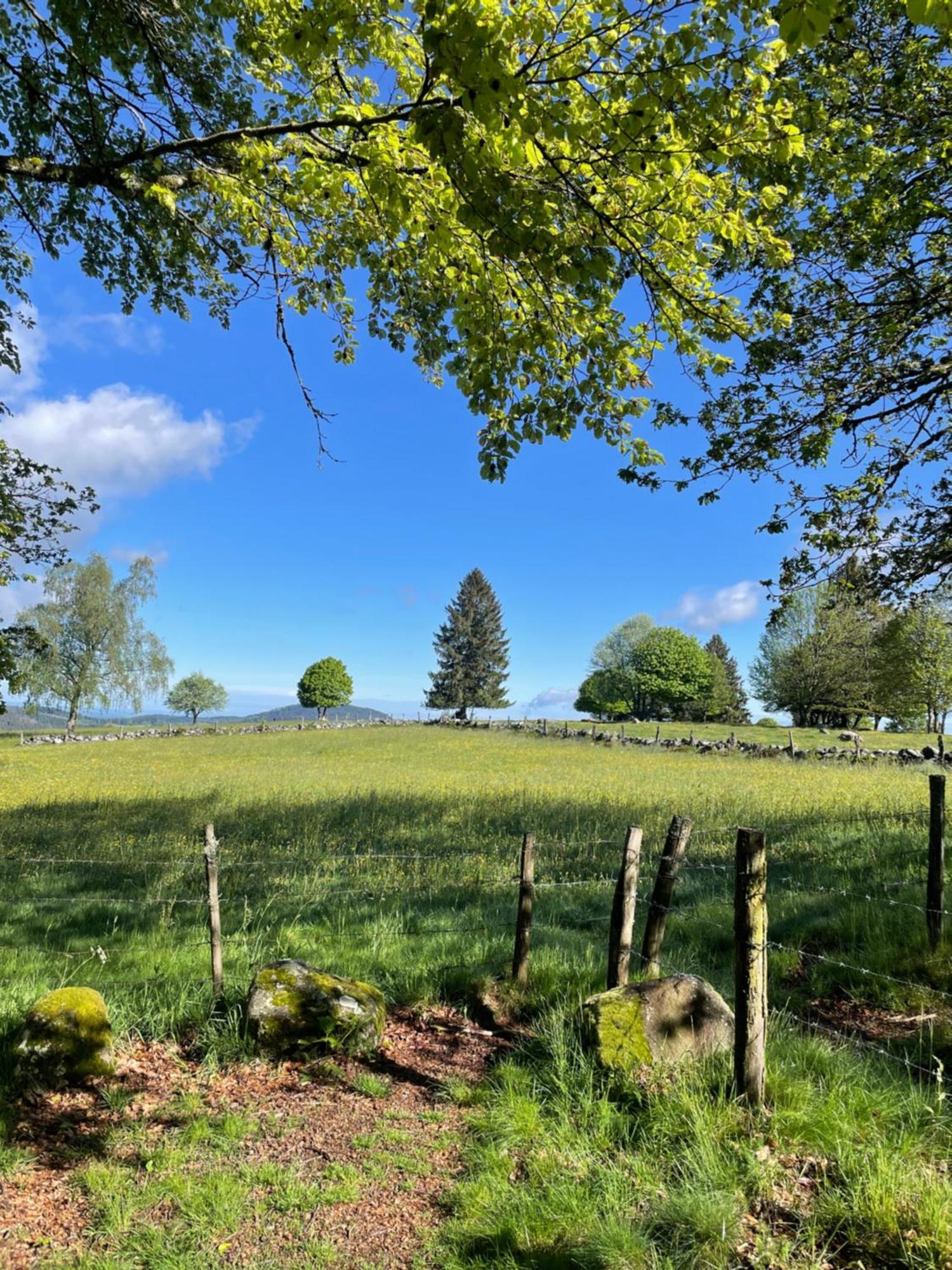 Le Gite Cozy De Bouvacote Avec Vue Panoramique Et Sauna Le Tholy Esterno foto